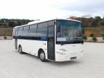 Guleryuz Cobra GD-160 Solo 2011 года
